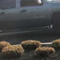 Driver Sought In Fatal Hit-Run At Bucks McDonald's: Police