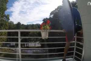 Trumbull Police Seek Burglar Who Climbed Up Second Story Balcony