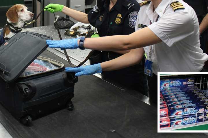 $42K In Sealed Toothpaste Boxes Lands PA Airport Staff Federal Sentence