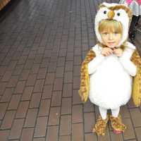 <p>This little one is all dressed up to go trick-or-treating at Stew Leonard&#x27;s in Danbury and scare the singing chickens while she was at it. </p>