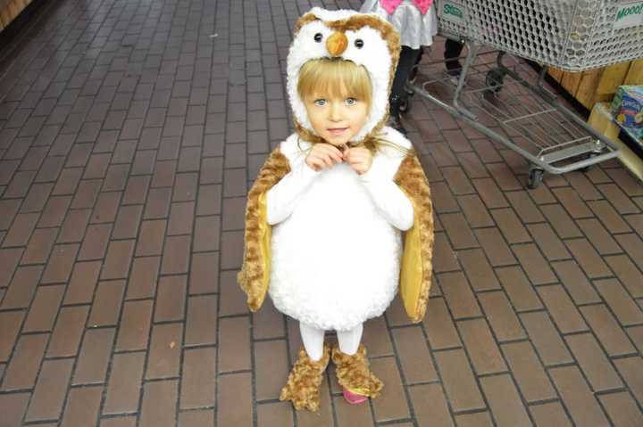 This little one is all dressed up to go trick-or-treating at Stew Leonard&#x27;s in Danbury and scare the singing chickens while she was at it. 