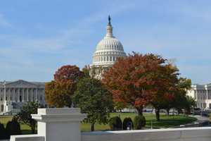 FBI: 11th NJ Suspect Arrested In Capitol Riots