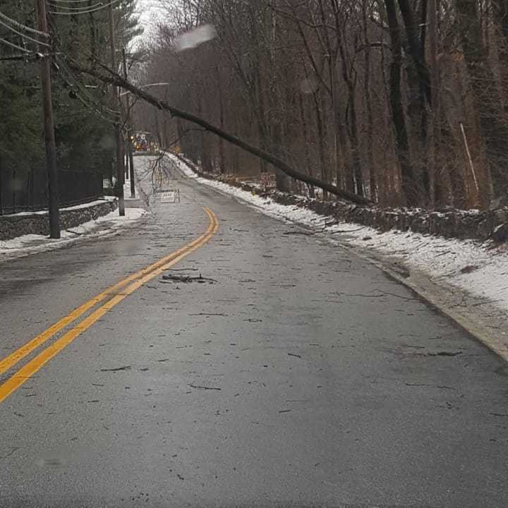 Hundreds of trees have been felled during the Nor&#x27;easter throughout the Hudson Valley, with 13 in Greenburgh.