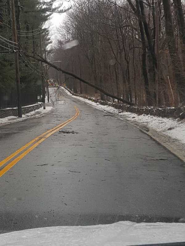 Storm Update: This Westchester Town Has 13 Downed Trees -- And Counting