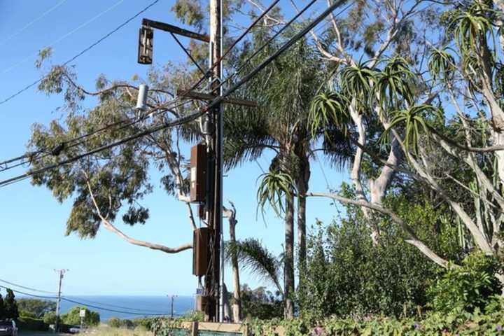 Rye Residents Angry Over Invasion Of Mini-Cell Towers