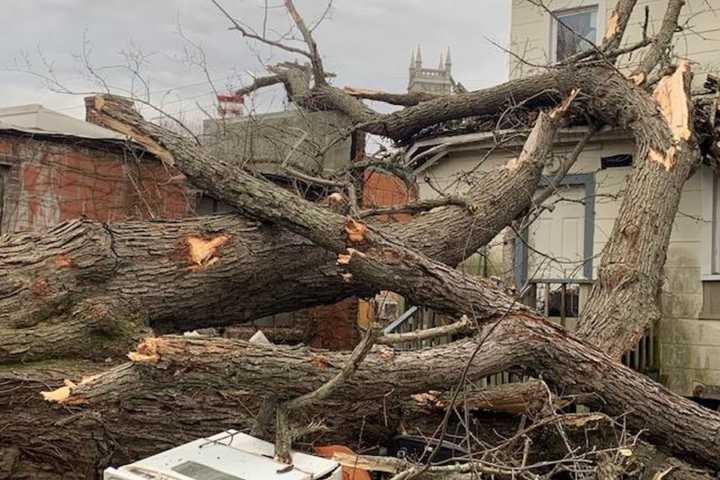 Large Tree Falls On New London Home, Displacing 10 Residents