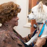 <p>Tinsley has been helping dementia patients at United Hebrew in New Rochelle.</p>