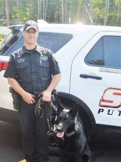 K-9 Unit Tracks Down Man Caught Fleeing Lexus Crash On Taconic Parkway