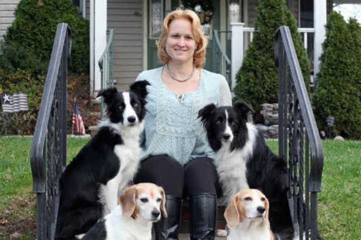 Bogota Dog Trainer, Maggie The Beagle Compete In Westminster Dog Show