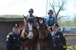 Rockland Sheriff Unveils Mounted Officer Graduation Class