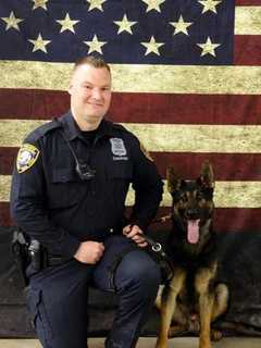 Meet 'Spar': New K-9 Officer Joins Yorktown Police Force