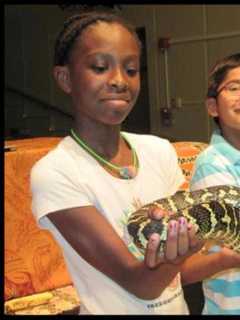 New Rochelle Library Features Activities For School Break Week