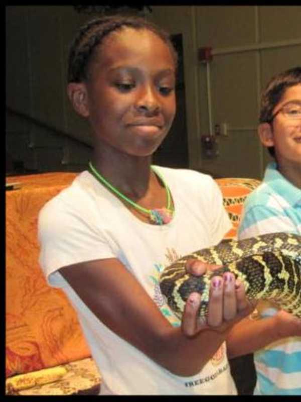 New Rochelle Library Features Activities For School Break Week