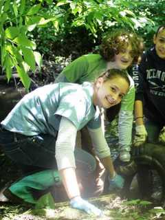 Bridgeport Zoo Seeks Teen Applicants For Conservation Discovery Corps