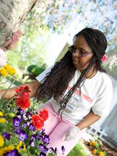 A Garden Grows In Yonkers