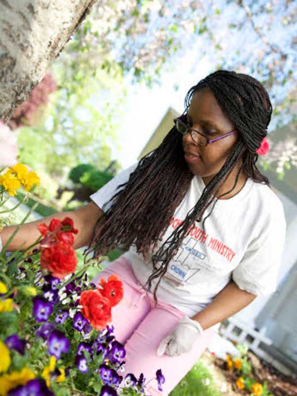 A Garden Grows In Yonkers