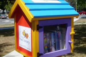 Englewood Seeks To Expand Tiny Library Project