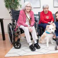 <p>Tinsley has been helping dementia patients at United Hebrew in New Rochelle.</p>