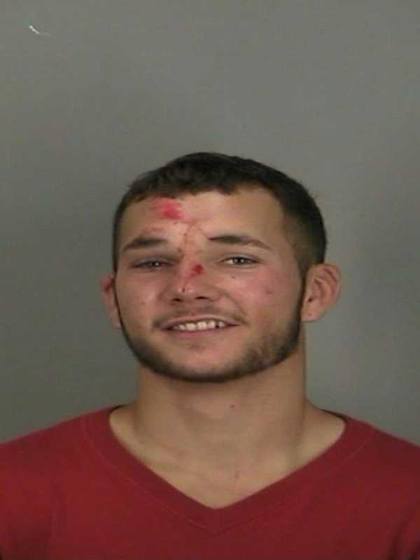 Hopewell Junction Brothers Charged With DWI, Resisting Arrest After Stop