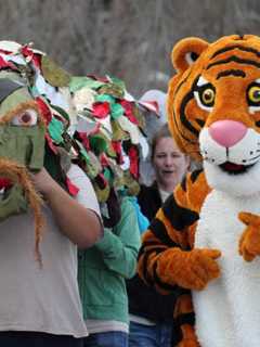 Bridgeport Zoo Holds Asian New Year Celebration