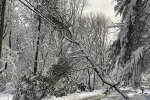 Power Restored To Hundreds In Fairfield County After High Winds Hit