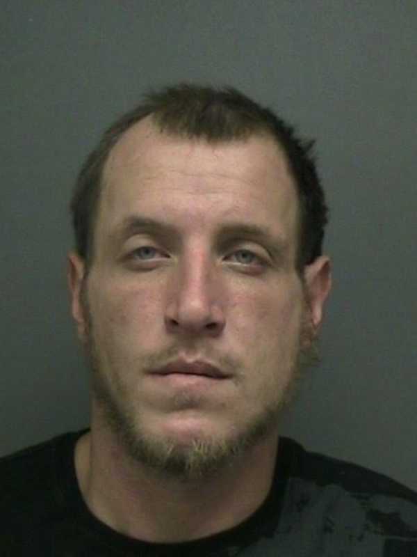 Snow Blower Thieves Caught With Crack In Stony Point, Police Say