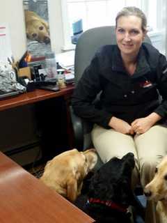 Wilton Canine Company Celebrates 'Bring Your Dog To Work Day' Everyday