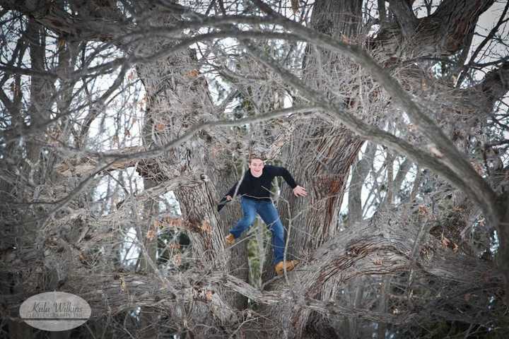 Ardsley Student Climbs To New Heights To Decorate Family Home