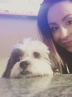 Going To The Dogs? Mount Kisco Woman Starts Side Business Painting Pets