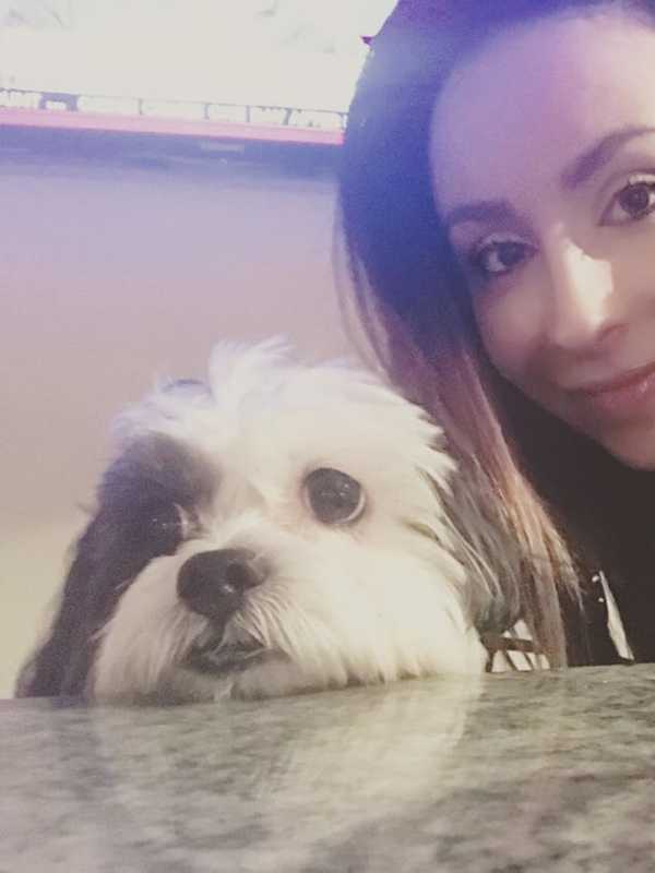 Going To The Dogs? Mount Kisco Woman Starts Side Business Painting Pets