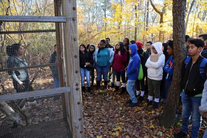 Isaac E. Young Teacher Combines Wildlife And Math To Connect With Students