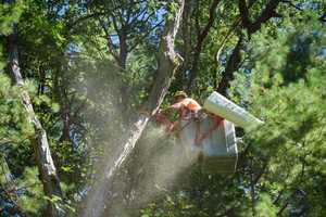 Nearly All Of CT Under Severe Drought Conditions