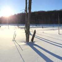 <p>Shelton photographer David Pisciotta captures shadows on the snow.</p>