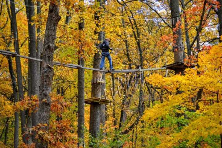 Leaf Peep From Above This Autumn At The Adventure Park In Bridgeport