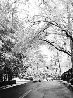 Westchester Wakes Up To Snow Covered Friday