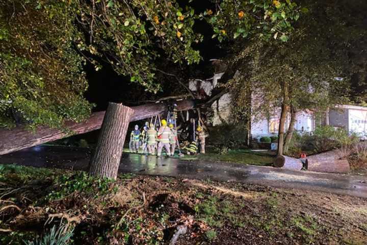 Tree Crashes Into Annapolis Home Killing One, Injuring Another: Fire Officials