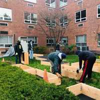 <p>Funds that exceed Zachary&#x27;s goal will go directly to Northern Westchester Hospital for annual replanting.</p>