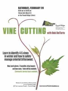 The Invasives Project In Pound Ridge Talks Vine Cutting At Gathering