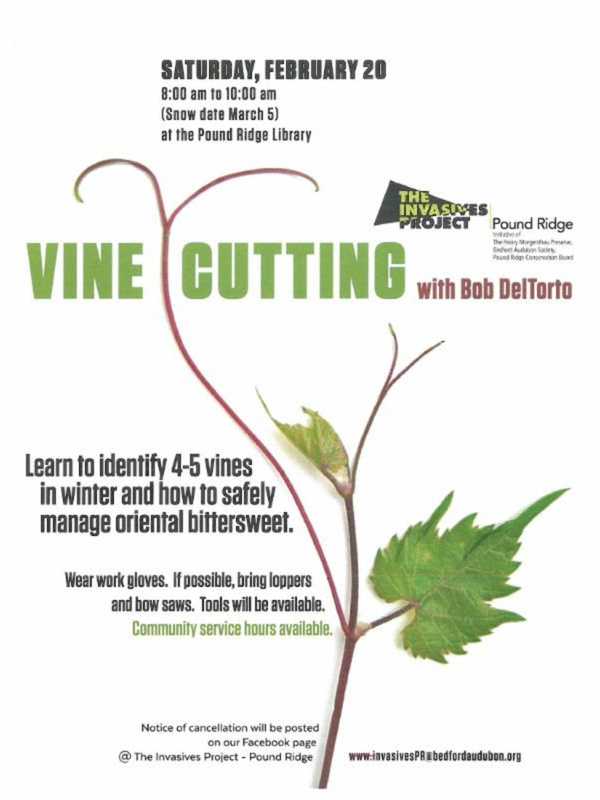 The Invasives Project In Pound Ridge Talks Vine Cutting At Gathering