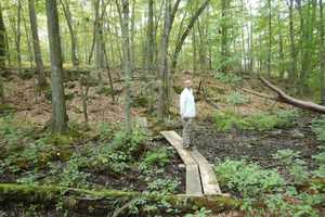 New Parking, Walking Bridge Open At South Salem's Love Preserve