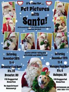 Putnam Humane Society Offering Pics With Santa