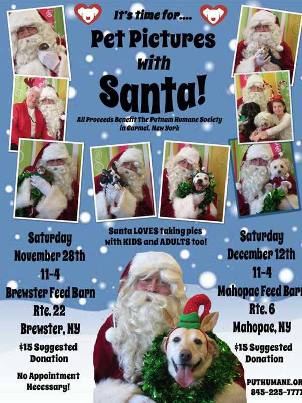Putnam Humane Society Offering Pics With Santa