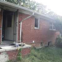 Four Cats Killed In Maryland House Fire Discovered By Department