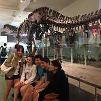 Pelham Freshmen See Dinosaurs At Museum Of National History