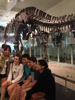 Pelham Freshmen See Dinosaurs At Museum Of National History