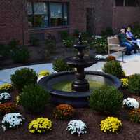 New Friendship Garden Blooms At Greenwich's Nathaniel Witherell