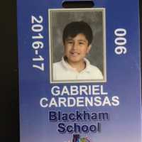 <p>Gabriel Cardenas, 13</p>