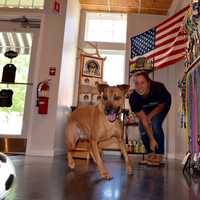 New Rhinebeck Pet Store Delights Dogs, Owners