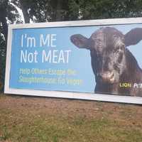 PETA Provides New Tribute To Barney The Bull On Long Island