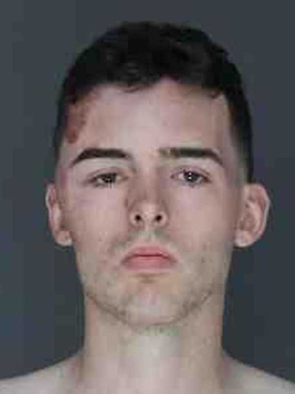 Nanuet Man Pleads Guilty In Crash That Killed New City Couple